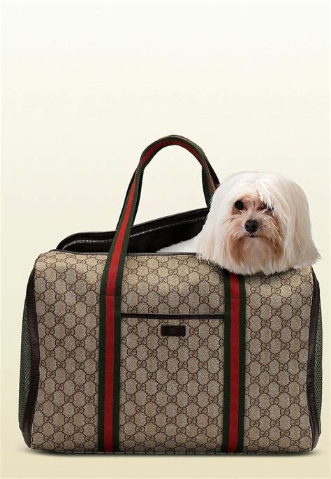 gucci small dog bag